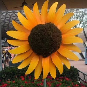 Meet your Posher, Desiree